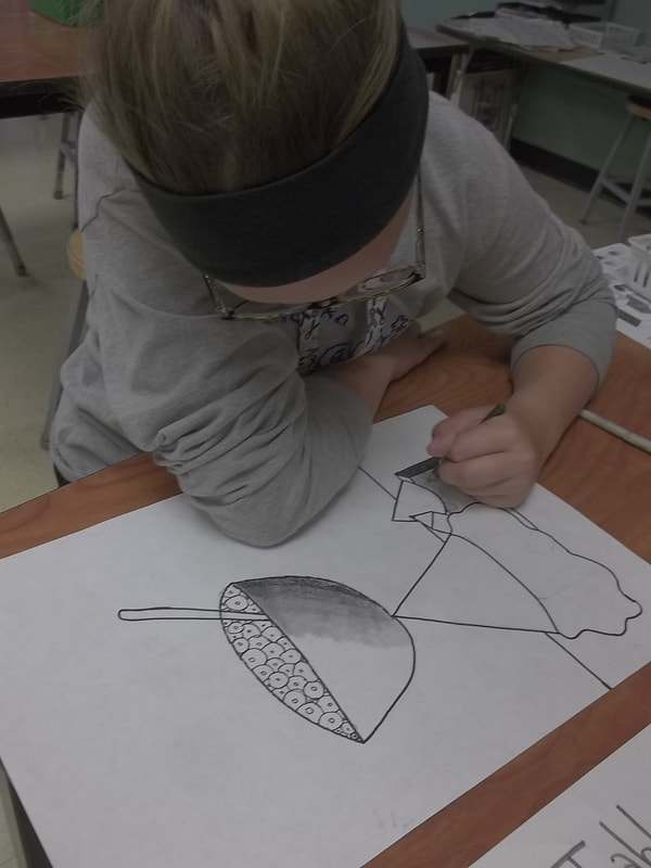 Drawing 3D shapes (Forms) 